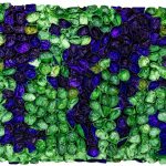 Irises, 95x65x13cm, recycled paper and acrylic on wood panel