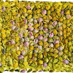 Mimoza, 95x65x13cm, reciklirani papir i akrilik na drvenom panelu