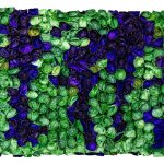 Perunike, 65x95x13cm, reciklirani papir i akrilik na drvenom panelu