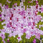 The feast of peonies, 170x120cm, recycled paper and acrylic on wood panel